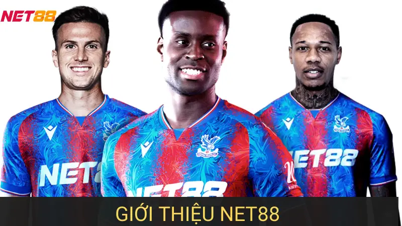 Giới Thiệu Net88 Và Những Điều Cần Biết Cho Người Mới